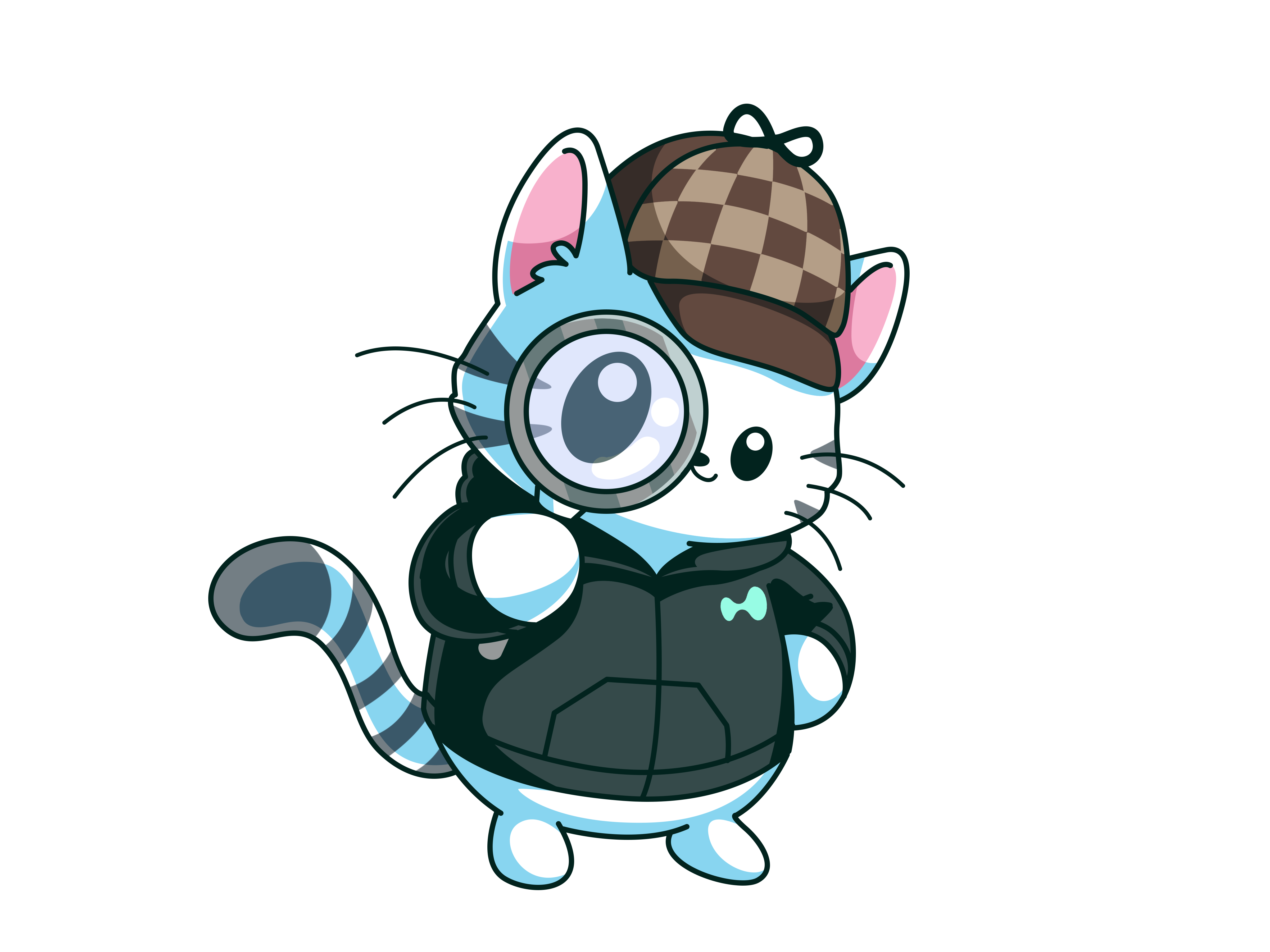 Sherlock Detective Cat